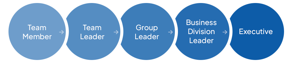 HR System - No Rank System : Team Member, Team Leader, Group Leader, Business Division Leader, Executive
